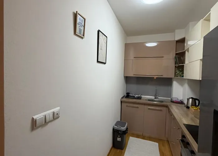 Near Airport,tran & Center Free Parking